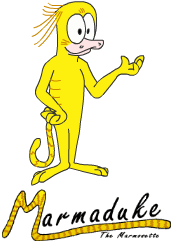 Marmaduke The Marmosette