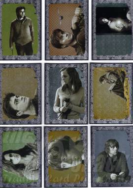 9-card Foil Chase/Puzzle Set - front 9-card Foil Chase/Puzzle Set - front