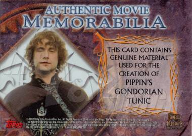 Pippin's Gondorian Tunic - back