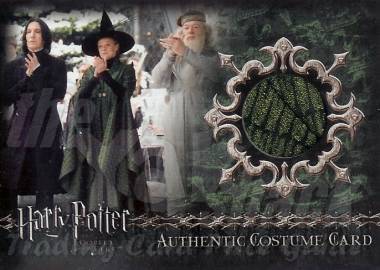 C03 Professor McGonagall's Yule Ball Robe - front