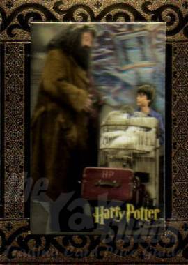 CT2 Hagrid and Harry at Platform 9 3/4 (SS) - front